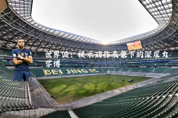 世界波:技术动作表象下的深层力学博弈